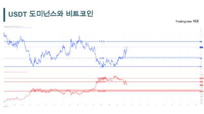 테더 도미넌스 21% 급등…비트코인, 6만 달러 위협받나
