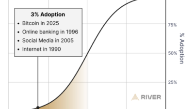 글로벌 비트코인 보유 인구 4%–인터넷 1990년 수준