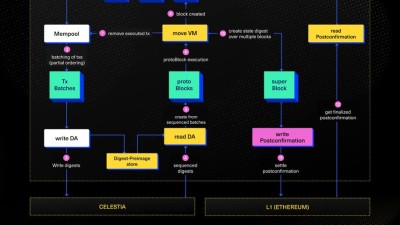 무브먼트(MOVE), 퍼블릭 메인넷 베타 출시