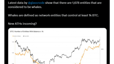 비트코인 고래 숫자, 2021년 1월 이후 최고