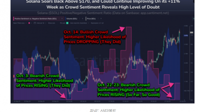 솔라나, 강세장 속 12주 최고가