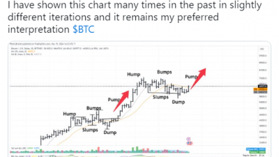 피터 브랜트 비트코인 펌핑 가능성 높다