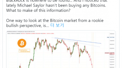 비트코인 40K 추락 전망한 산타나, 마지막 하락 대비하라