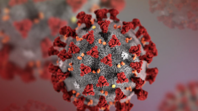 코로나 재유행하나…미국에 변종 바이러스 확산 조짐
