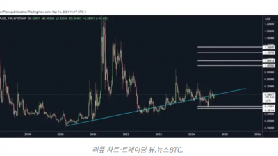리플, 주요 가격대에서 강력한 지지