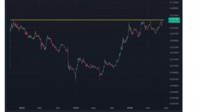 솔라나, 명확한 롱 옵션