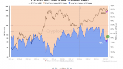 비트코인 장기 보유자 도미넌스 80% 돌파