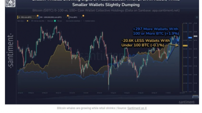 비트코인 고래 증가, 소매 투자자 감소