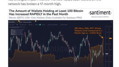 비트코인 하락에도 고래들은 계속 산다