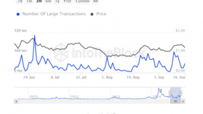 FET 고래 거래량 262% 급증