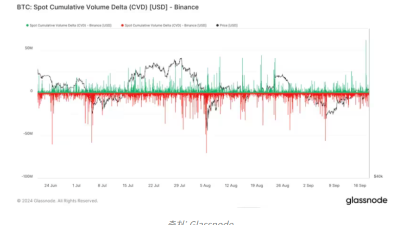 바이낸스 비트코인 현물 거래량 증가