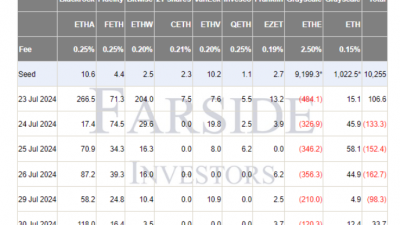 美이더리움 ETF, 출시일 제외 첫 플러스 흐름