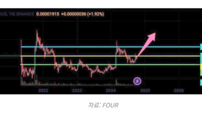 시바이누(SHIB) 한달 30% 급등