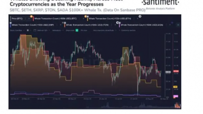 암호화폐 고래 활동 감소, 시장 안정 신호?