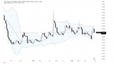 리플(XRP), 중대 가격 기로