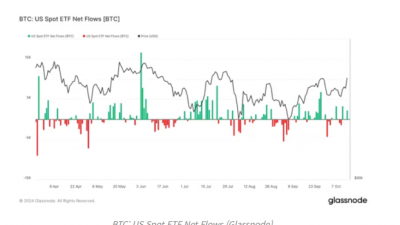 비트코인 현물 ETF 순유입 급증, 단기 고점 신호인가?