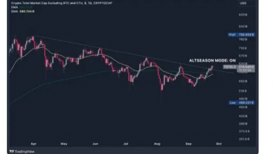 알트코인 시즌 시작 신호
