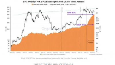 비트코인 고래들, 6개월 동안 150만 BTC 매수