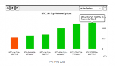 비트코인 하락에도 옵션 시장 강세 전망 유지