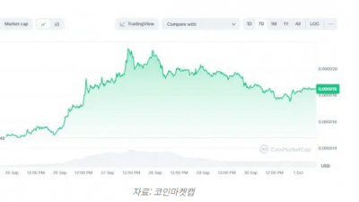 시바이누 고래 활동 급증, 향후 가격 방향은 불확실