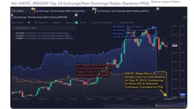 렌더(RENDER), 고래들 장기 보유 신호로 기대감 상승
