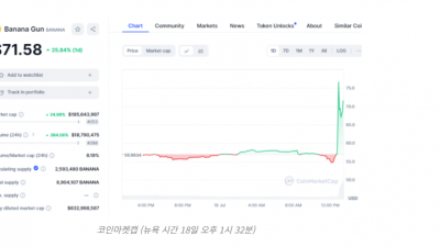 바이낸스, 첫 에어드롭 포털 프로젝트로 BANANA 선정