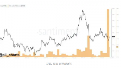 도지코인, 강력한 상승 전망