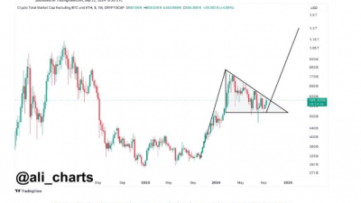 이제 곧 알트코인 시즌이다