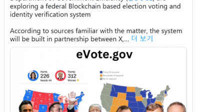 미 DOGE, 블록체인 기반 투표 시스템 도입하나