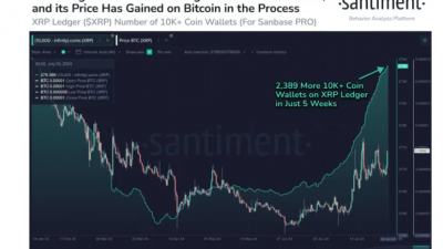 1만 XRP 이상 보유 고래 지갑 급증