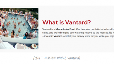 밴타드(Vantard)’, “블루칩+저평가 밈코인으로 포트폴리오 짠다”