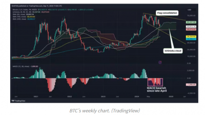 비트코인 주간 차트, 상승 가능성 암시