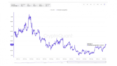 비트코인 시장, 레버리지 증가