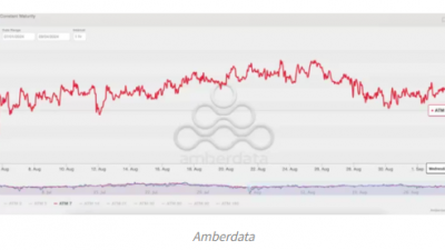 비트코인 옵션 트레이더들, 추가 하락에 대비
