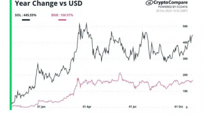 솔라나(SOL) 시가총액 BNB에 근접