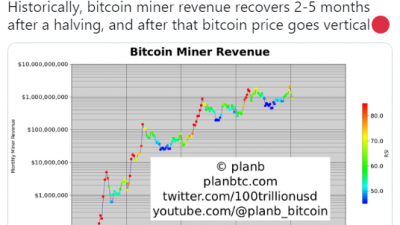 플랜B “비트코인은 반감기 2~5개월 후 수직상승한다”