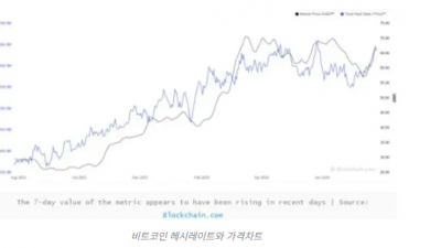 비트코인 헤시레이트 최고치 근접