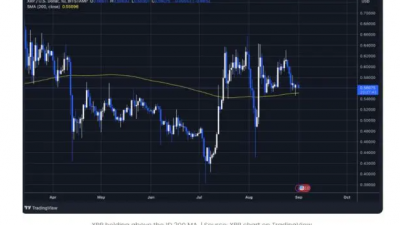 리플(XRP) $0.55 지지선 부근 하락