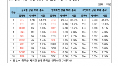XRP 전체 시총 중 16% 한국 차지