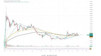 시바이누, 고래들 대형 거래로 관심