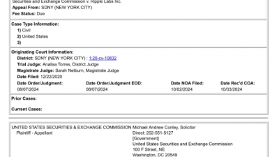 미 SEC, 리플 CEO도 항소 대상에 포함