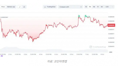 시바이누(SHIB) 대규모 거래량 급증