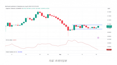 도지코인 급락 이후 가격 안정화, 매수 기회?