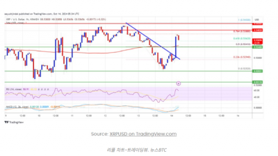 리플 가격, 저항선 돌파 가능할까? 혹은 박스권에 머물까?
