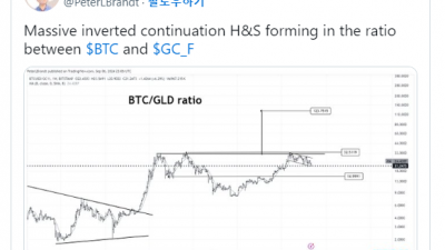 금 대비 비트코인, 가격 급등 차트 나왔다