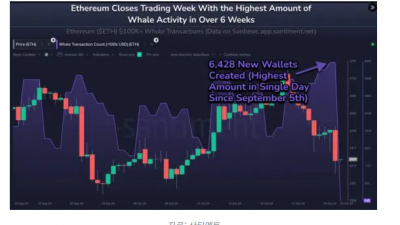 이더리움 고래 활동 6주 최고치