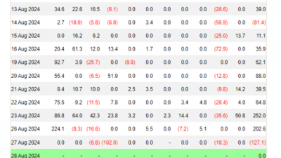 비트코인 ETF 9일 만에 순유출