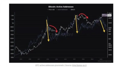 비트코인 활성 주소 급감