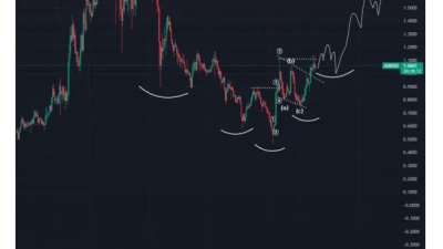솔라나 킬러 ‘수이’, 랠리 전망