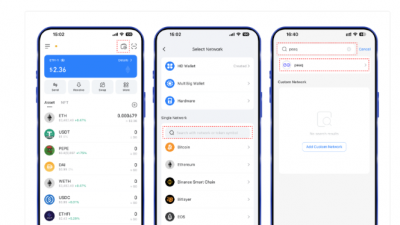 피크(peaq), 멀티체인 월렛 토큰포켓 통합